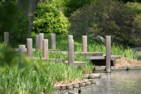 Japanese Board Walk, Shaw's Gardens, Saint Louis, Missouri