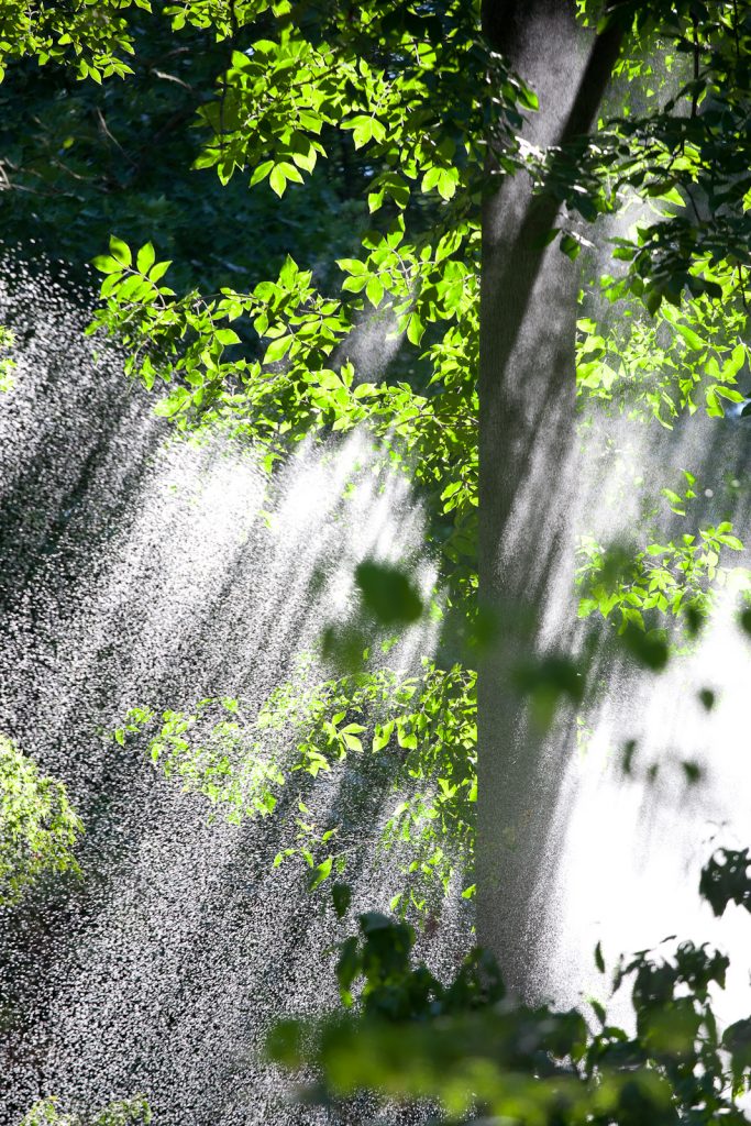 Falling Water, National Arboretum, Washington, DC